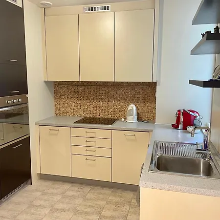 Huge Two Floor On The Park Colonnade With Free Parking For One Car, 160 Sqm Karlovy Vary