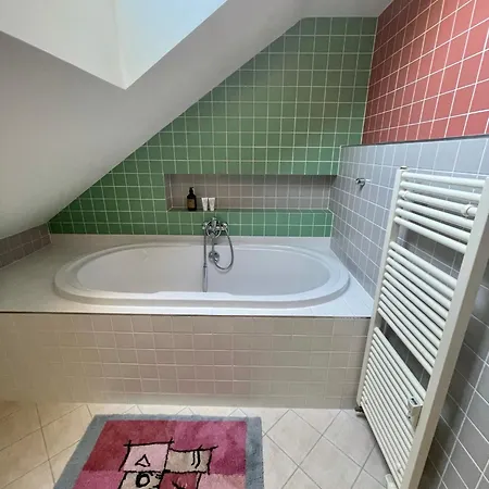 Huge Two Floor On The Park Colonnade With Free Parking For One Car, 160 Sqm Apartment Karlovy Vary